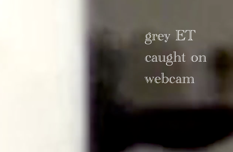 2 GREY ETS CAUGHT ON WEBCAM