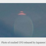 Dead Fish from Crashed UFO – Okinawa, Japan – Update